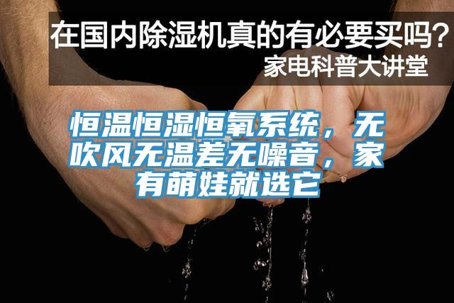 恒温恒湿恒氧系统，无吹风无温差无噪音，家有萌娃就选它
