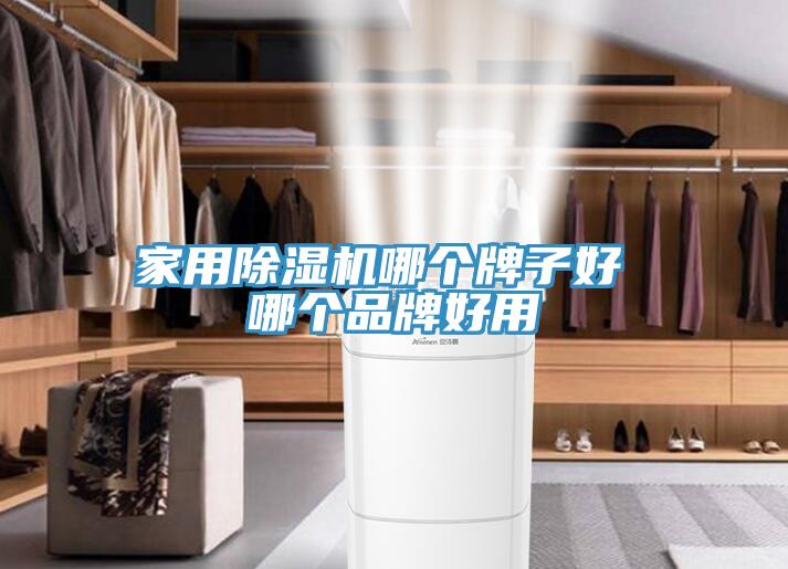 家用猫咪成人官网哪个牌子好 哪个品牌好用