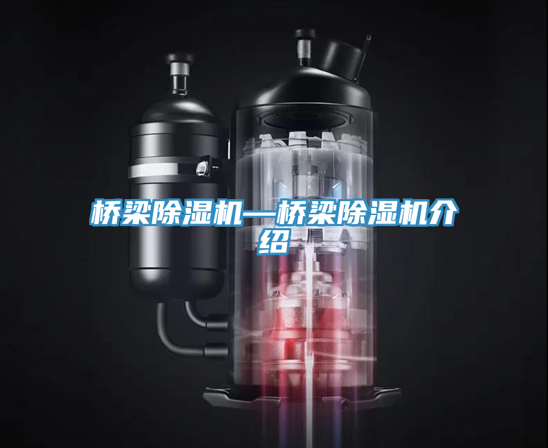桥梁猫咪成人官网—桥梁猫咪成人官网介绍