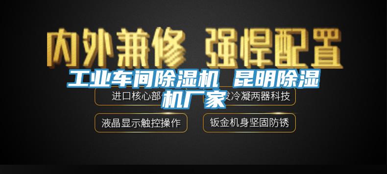工业车间猫咪成人官网 昆明猫咪成人官网厂家
