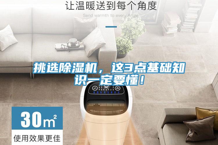 挑选猫咪成人官网，这3点基础知识一定要懂！