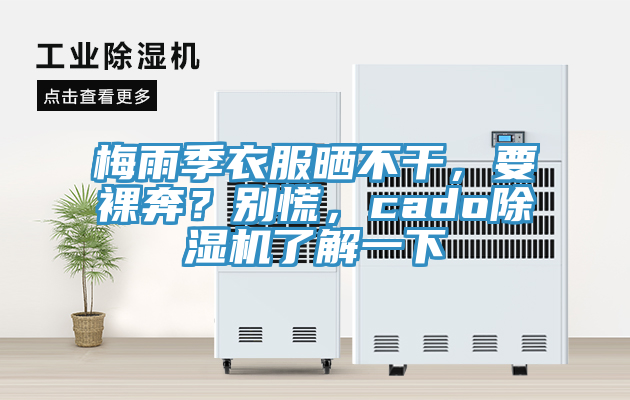 梅雨季衣服晒不干，要裸奔？别慌，cado猫咪成人官网了解一下