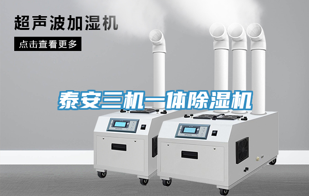 泰安三机一体猫咪成人官网