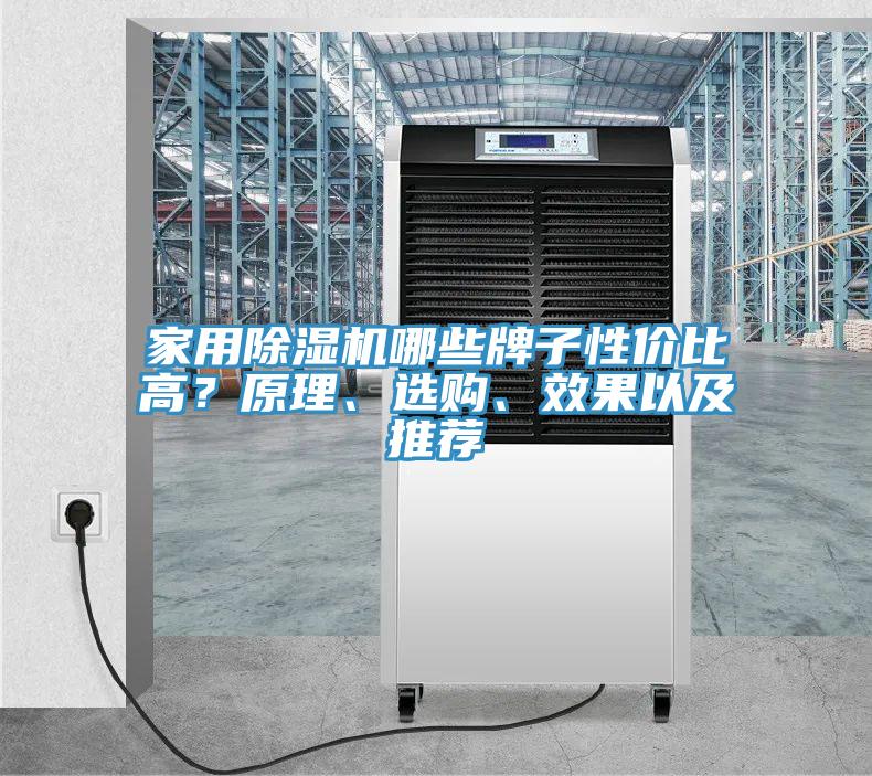 家用猫咪成人官网哪些牌子性价比高？原理、选购、效果以及推荐