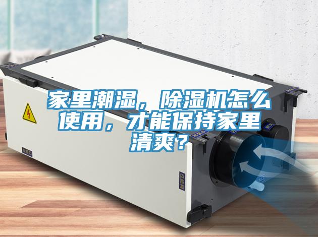 家里潮湿，猫咪成人官网怎么使用，才能保持家里清爽？