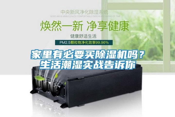家里有必要买猫咪成人官网吗？生活潮湿实战告诉你
