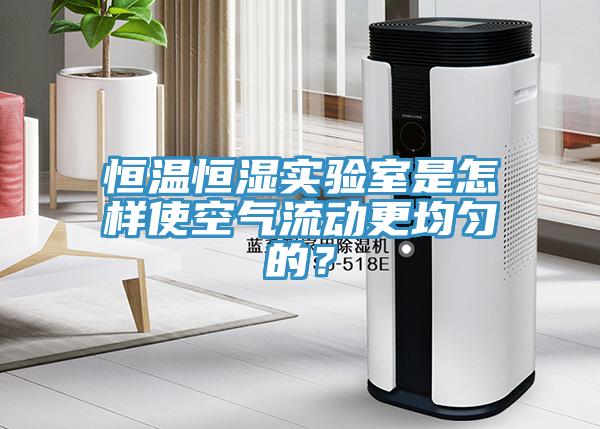 恒温恒湿实验室是怎样使空气流动更均匀的？