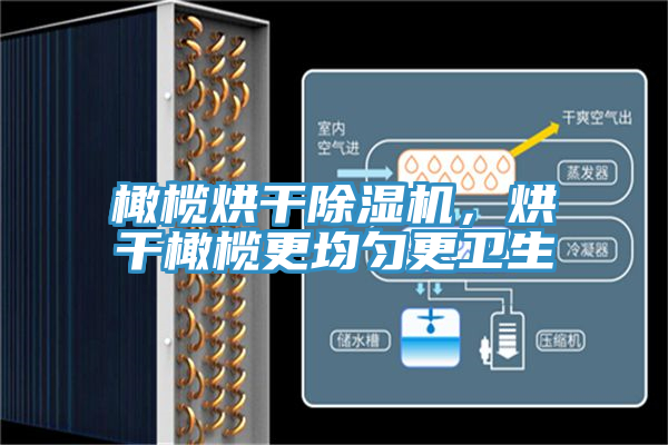 橄榄烘干猫咪成人官网，烘干橄榄更均匀更卫生