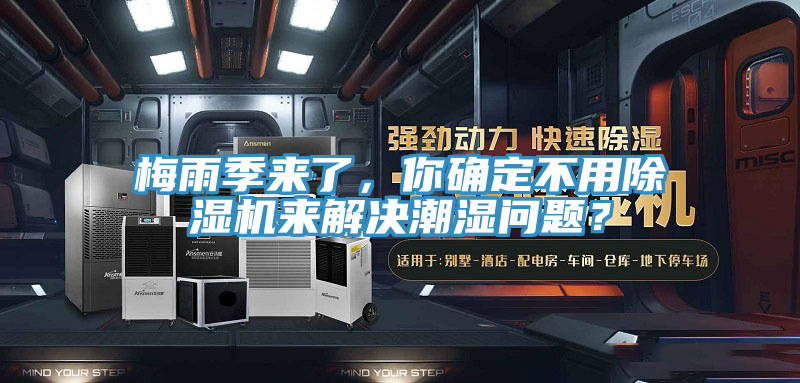 梅雨季来了，你确定不用猫咪成人官网来解决潮湿问题？