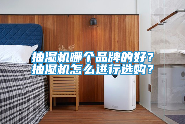 抽湿机哪个品牌的好？抽湿机怎么进行选购？