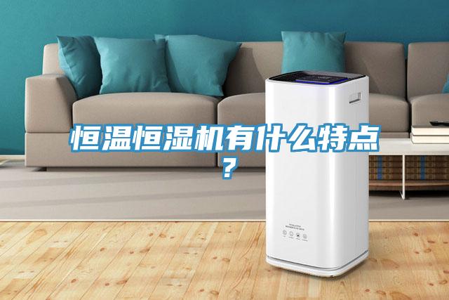 恒温恒湿机有什么特点？