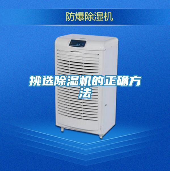 挑选猫咪成人官网的正确方法