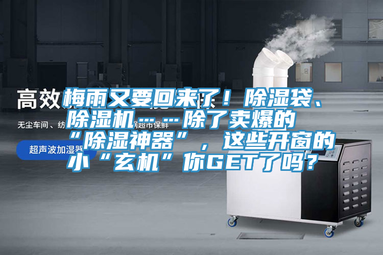 梅雨又要回来了！除湿袋、猫咪成人官网……除了卖爆的“除湿神器”，这些开窗的小“玄机”你GET了吗？