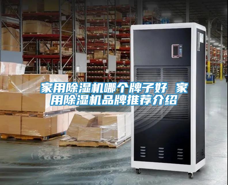 家用猫咪成人官网哪个牌子好 家用猫咪成人官网品牌推荐介绍