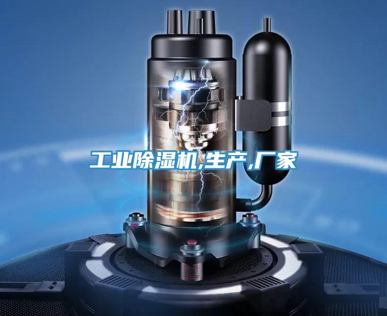 工业猫咪成人官网,生产,厂家