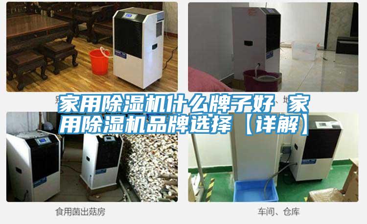 家用猫咪成人官网什么牌子好 家用猫咪成人官网品牌选择【详解】