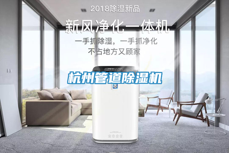 杭州管道猫咪成人官网