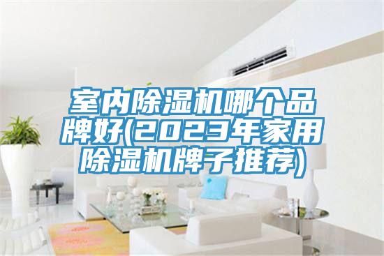 室内猫咪成人官网哪个品牌好(2023年家用猫咪成人官网牌子推荐)