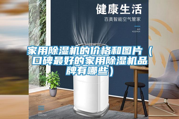 家用猫咪成人官网的价格和图片（口碑最好的家用猫咪成人官网品牌有哪些）