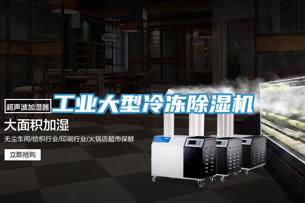工业大型冷冻猫咪成人官网