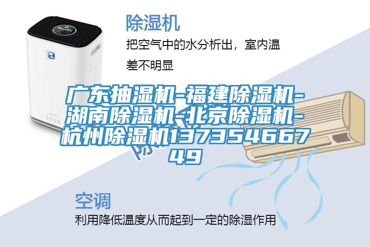 广东抽湿机-福建猫咪成人官网-湖南猫咪成人官网-北京猫咪成人官网-杭州猫咪成人官网13735466749