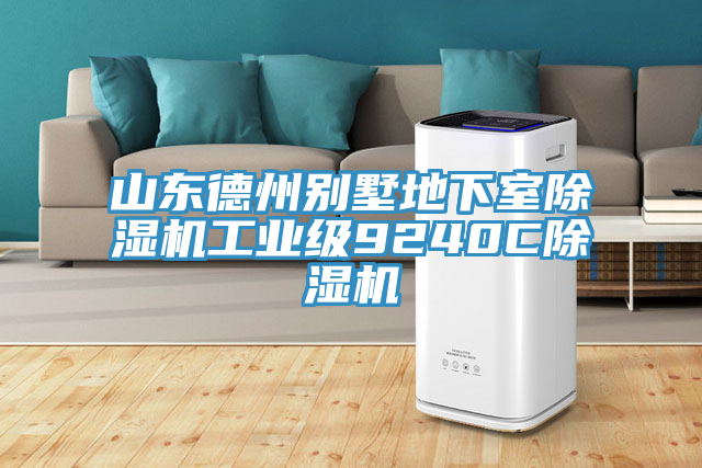 山东德州别墅地下室猫咪成人官网工业级9240C猫咪成人官网