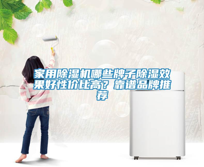 家用猫咪成人官网哪些牌子除湿效果好性价比高？靠谱品牌推荐