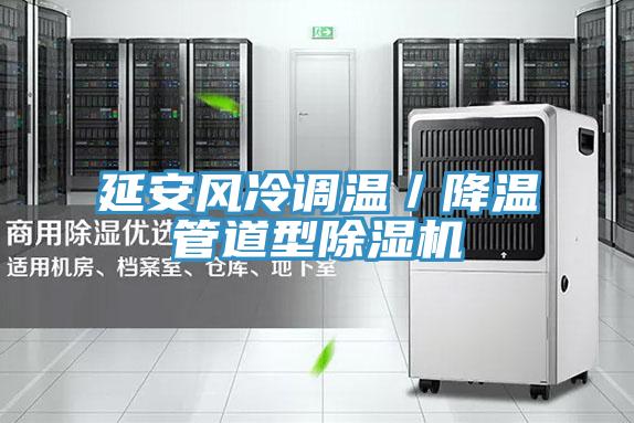 延安风冷调温／降温管道型猫咪成人官网