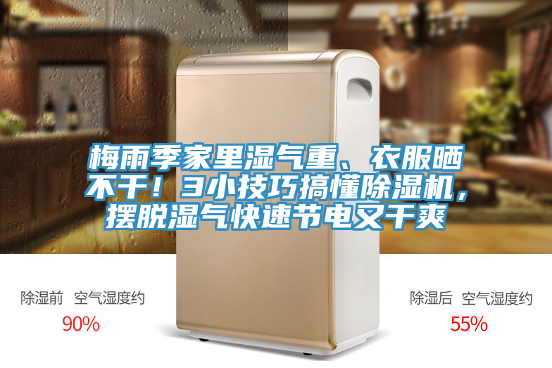 梅雨季家里湿气重、衣服晒不干！3小技巧搞懂猫咪成人官网，摆脱湿气快速节电又干爽