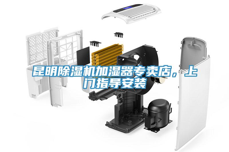 昆明猫咪成人官网加湿器专卖店，上门指导安装