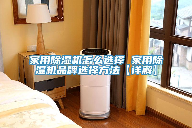 家用猫咪成人官网怎么选择 家用猫咪成人官网品牌选择方法【详解】