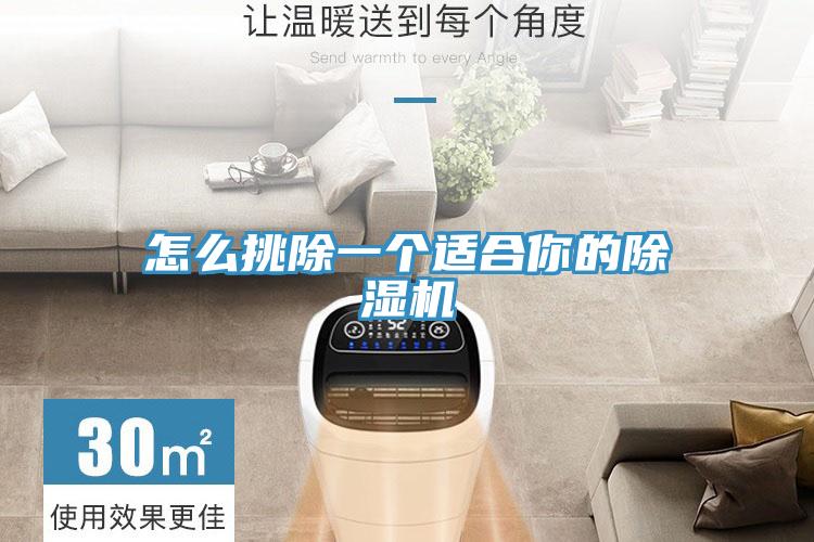怎么挑除一个适合你的猫咪成人官网
