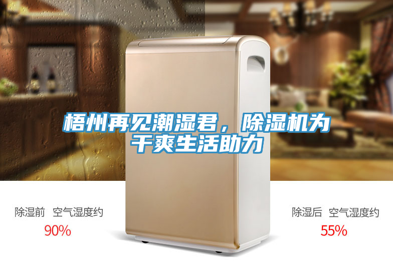 梧州再见潮湿君，猫咪成人官网为干爽生活助力
