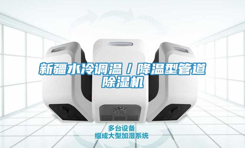 新疆水冷调温／降温型管道猫咪成人官网