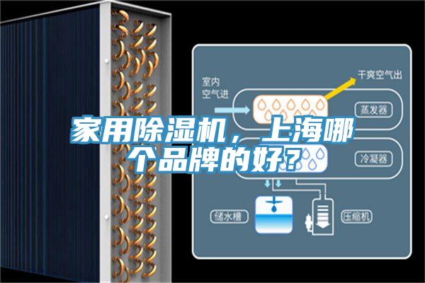 家用猫咪成人官网，上海哪个品牌的好？