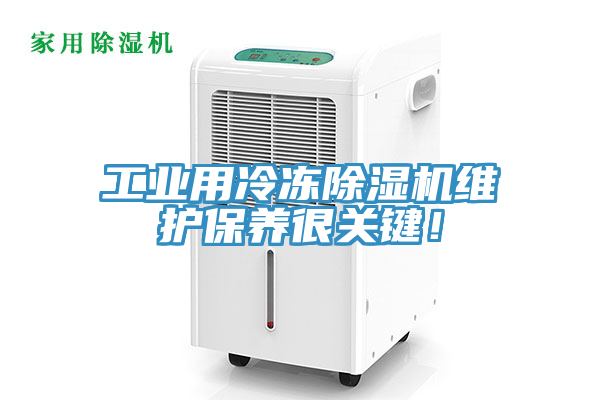 工业用冷冻猫咪成人官网维护保养很关键！