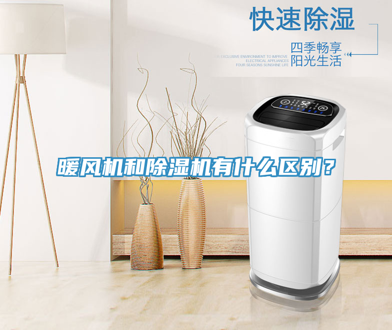暖风机和猫咪成人官网有什么区别？