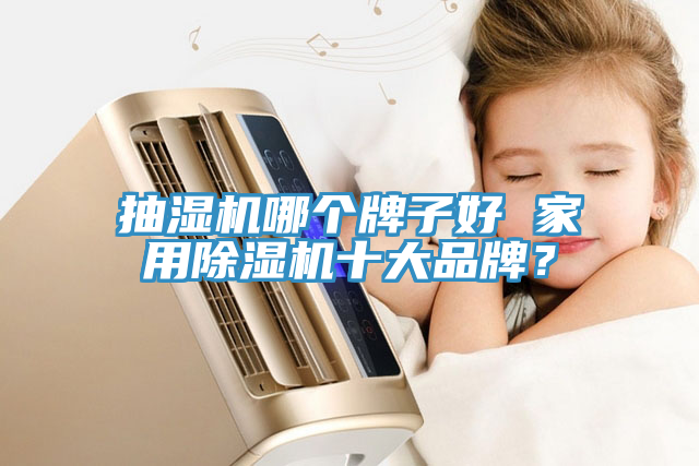 抽湿机哪个牌子好 家用猫咪成人官网十大品牌？