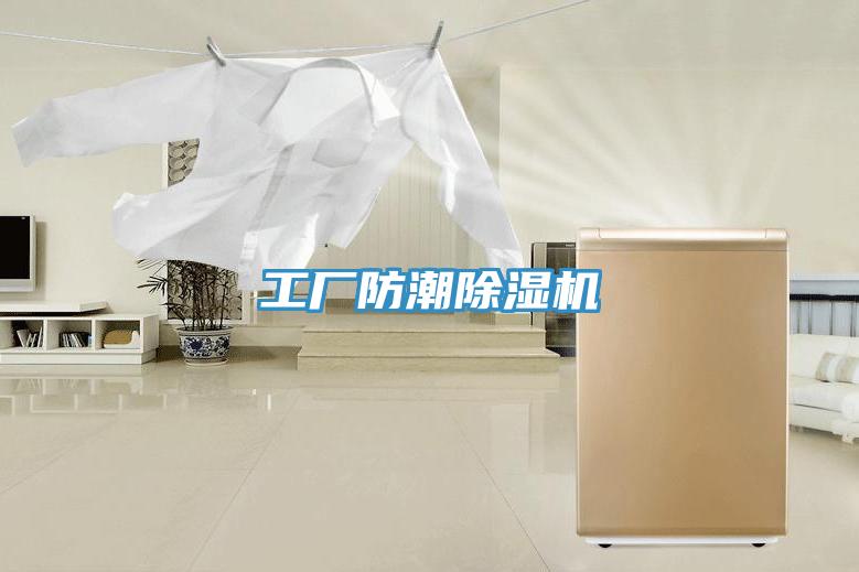 工厂防潮猫咪成人官网