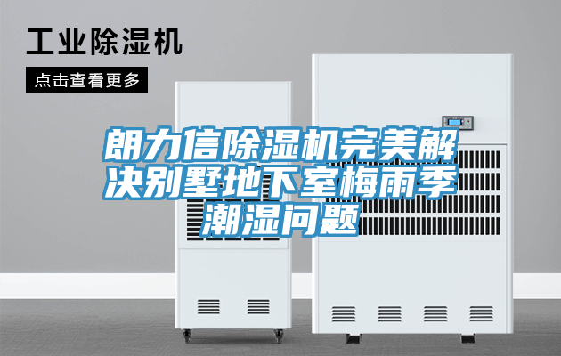 朗力信猫咪成人官网完美解决别墅地下室梅雨季潮湿问题