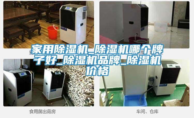 家用猫咪成人官网_猫咪成人官网哪个牌子好_猫咪成人官网品牌_猫咪成人官网价格