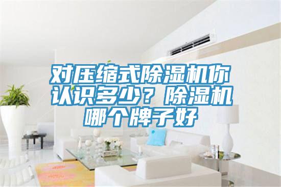 对压缩式猫咪成人官网你认识多少？猫咪成人官网哪个牌子好