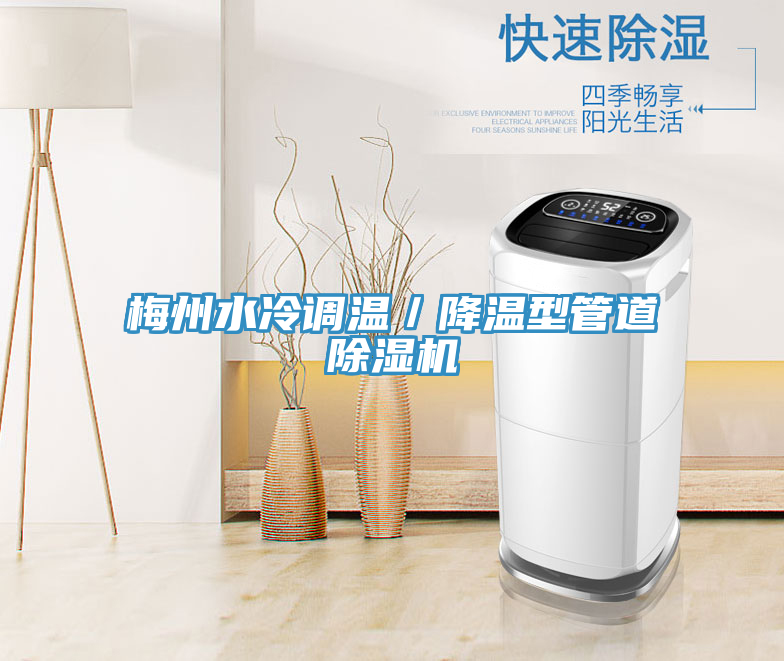 梅州水冷调温／降温型管道猫咪成人官网