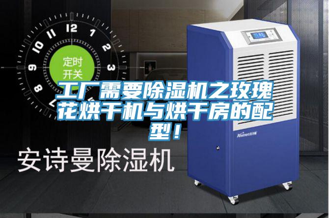 工厂需要猫咪成人官网之玫瑰花烘干机与烘干房的配型！