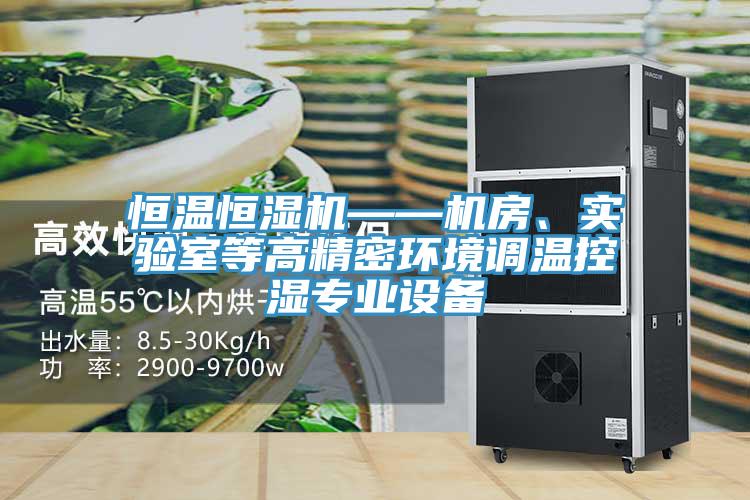 恒温恒湿机——机房、实验室等高精密环境调温控湿专业设备