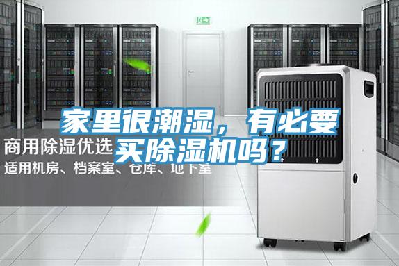 家里很潮湿，有必要买猫咪成人官网吗？