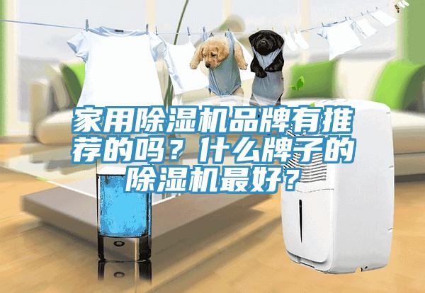 家用猫咪成人官网品牌有推荐的吗？什么牌子的猫咪成人官网最好？