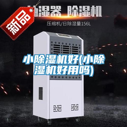 小猫咪成人官网好(小猫咪成人官网好用吗)