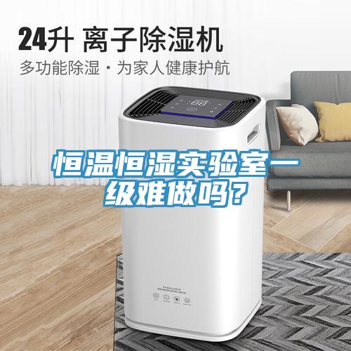 恒温恒湿实验室一级难做吗？