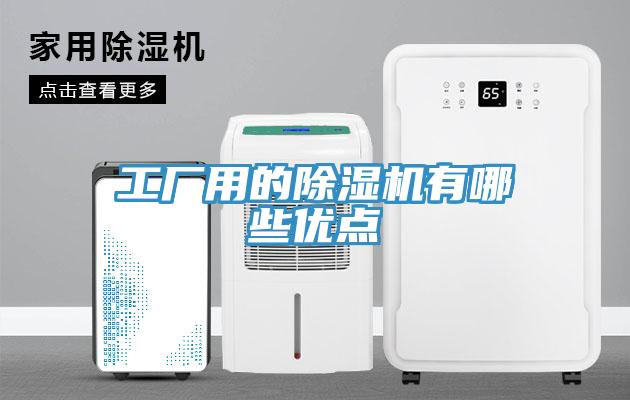 工厂用的猫咪成人官网有哪些优点